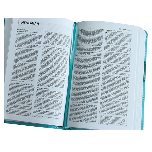 NIV Premium Gift Bible – Teal Red Letter Comfort; Neriah's Light