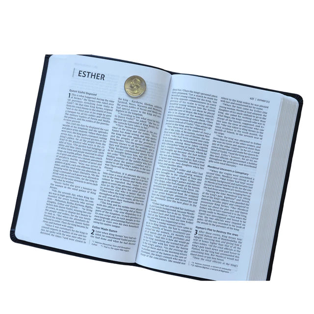 NIV Thinline Bible – Gray/Black Comfort Leather ; Neriah's Light