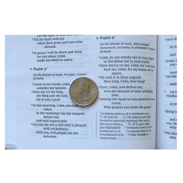 NIV Thinline Bible – Gray/Black Comfort Leather ; Neriah's Light