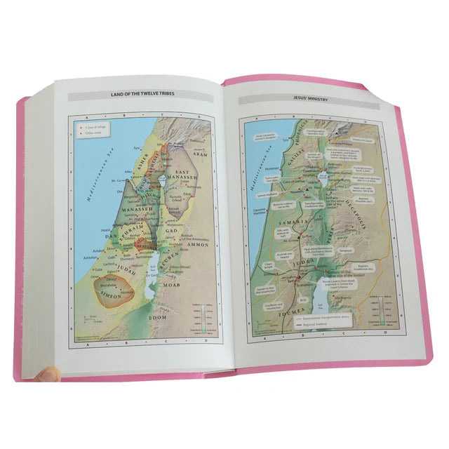 NIV Gift & Award Bible – Pink Red Letter Comfort Print; Neriah's Light