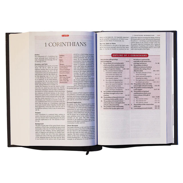 NIV New Spirit-Filled Life Bible – Hardcover Comfort: Neriah's Light