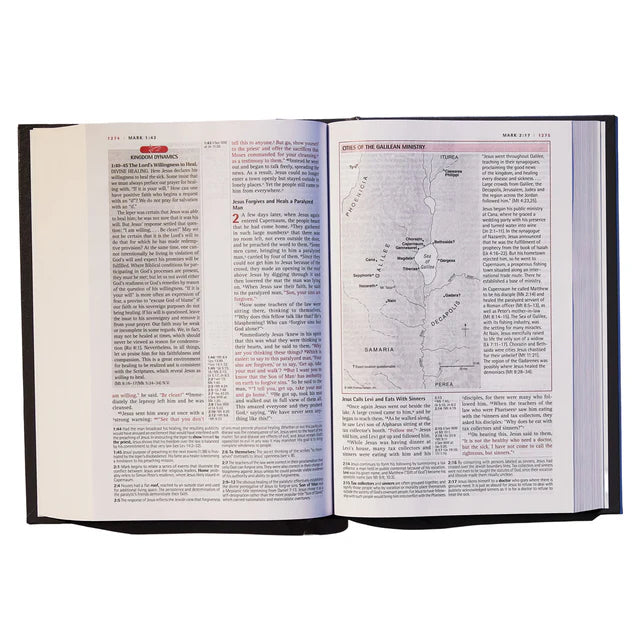 NIV New Spirit-Filled Life Bible – Hardcover Comfort: Neriah's Light