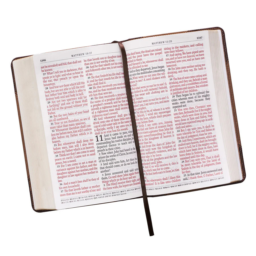 KJV Tan & Brown Study Bible | Giant Print Red Letter Edition