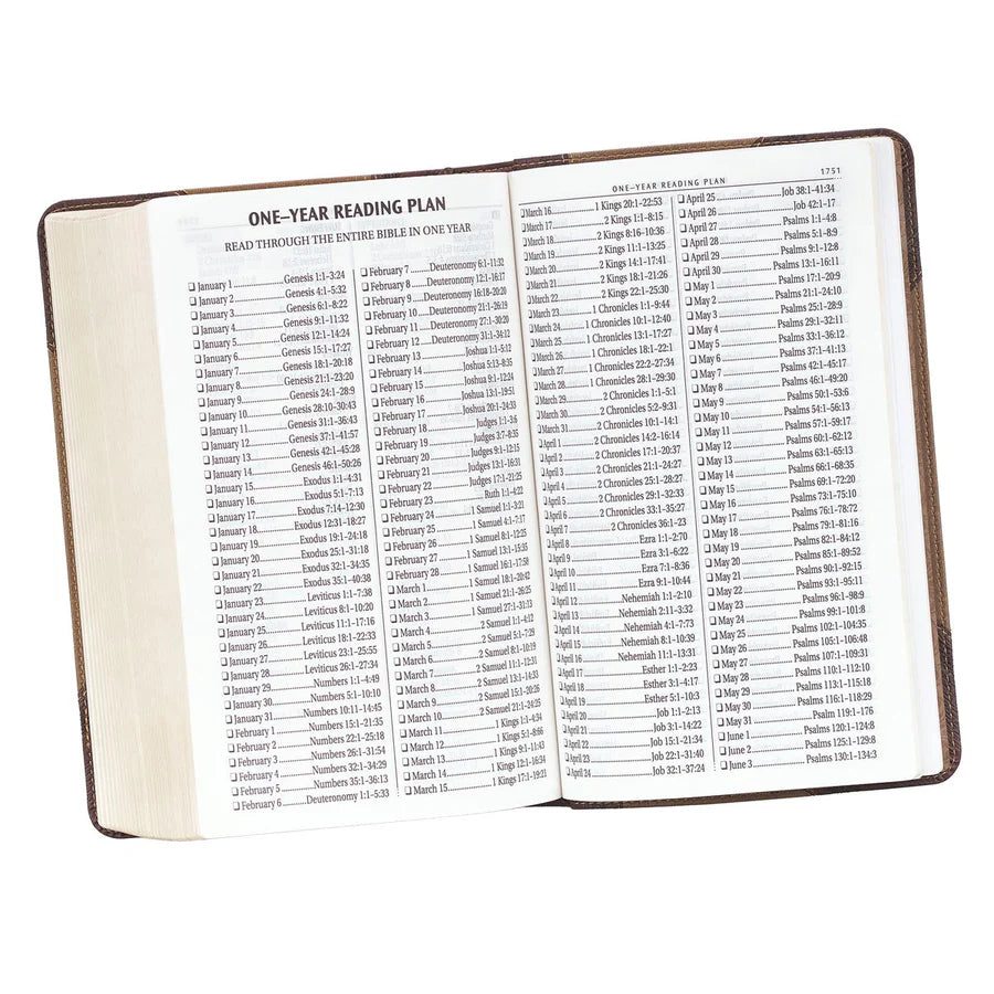 KJV Tan & Brown Study Bible | Giant Print Red Letter Edition