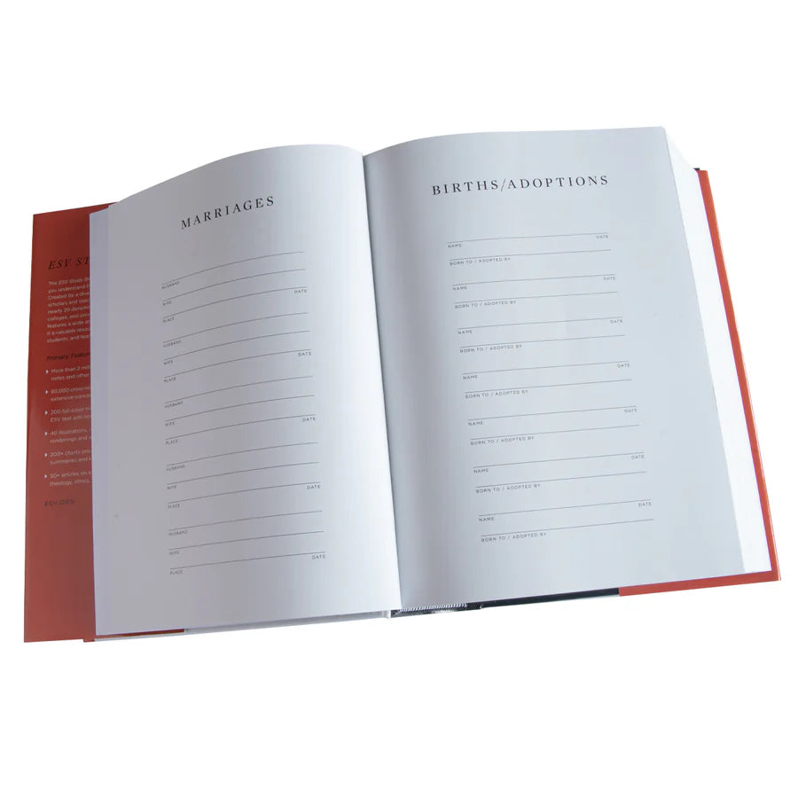 ESV Study Bible With Jacket (Hardcover)