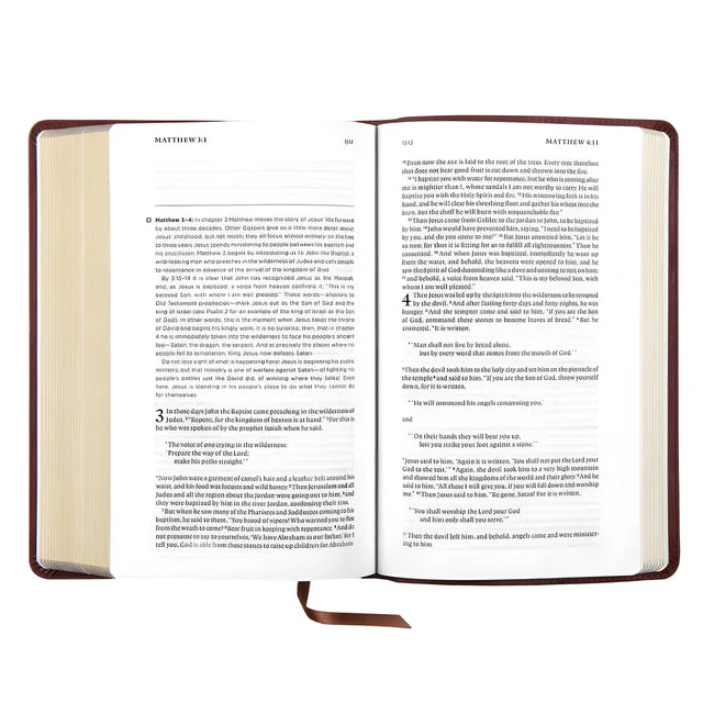 ESV Daily Reading Bible – Brown Imitation Leather ; Neriah's Light