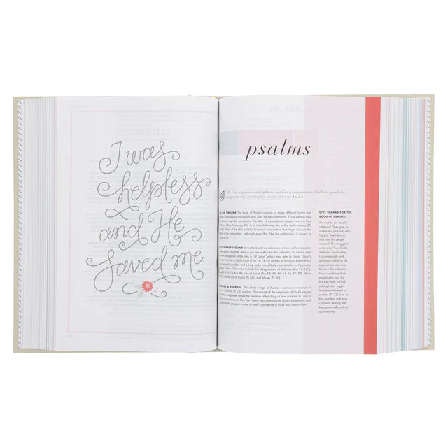 Neriah’s Light: CSB She Reads Truth Bible; Gray Hardcover Edition