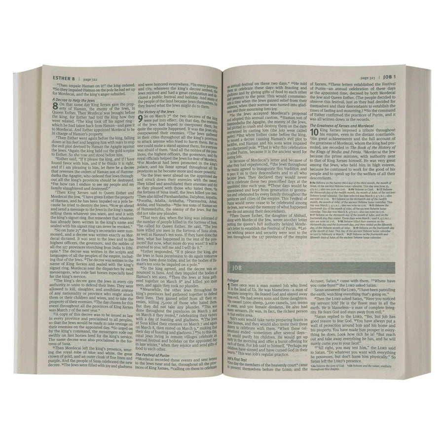 NLT Economy Outreach Bible – Paperback; Evangelism Bible; Neriah’s Light