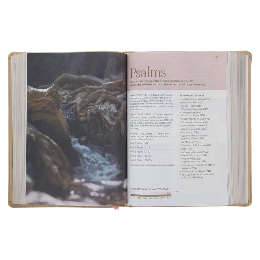 NLT Every Woman’s Bible; Study Bible; Neriah’s Light