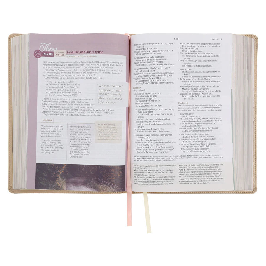 NLT Every Woman’s Bible; Study Bible; Neriah’s Light