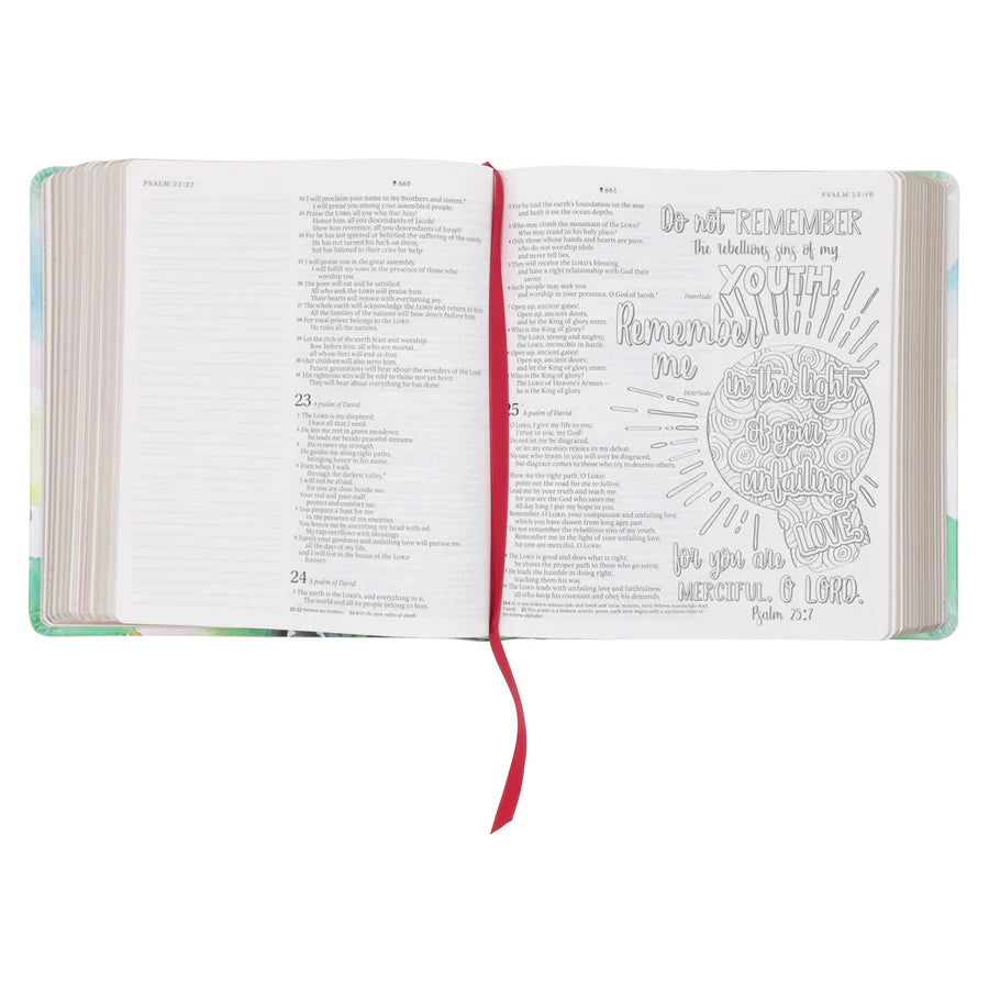 NLT Inspire Prayer Bible; Filament Journaling Bible; Neriah’s Light