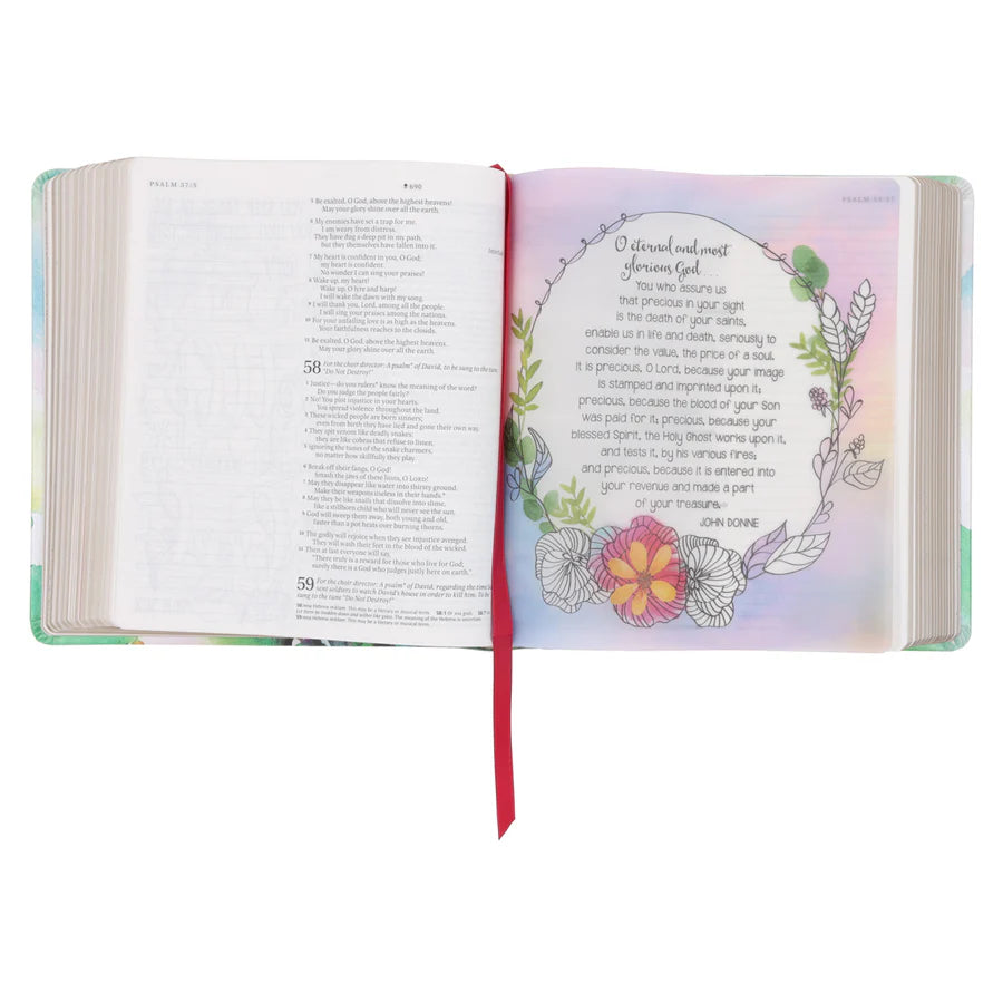 NLT Inspire Prayer Bible; Filament Journaling Bible; Neriah’s Light