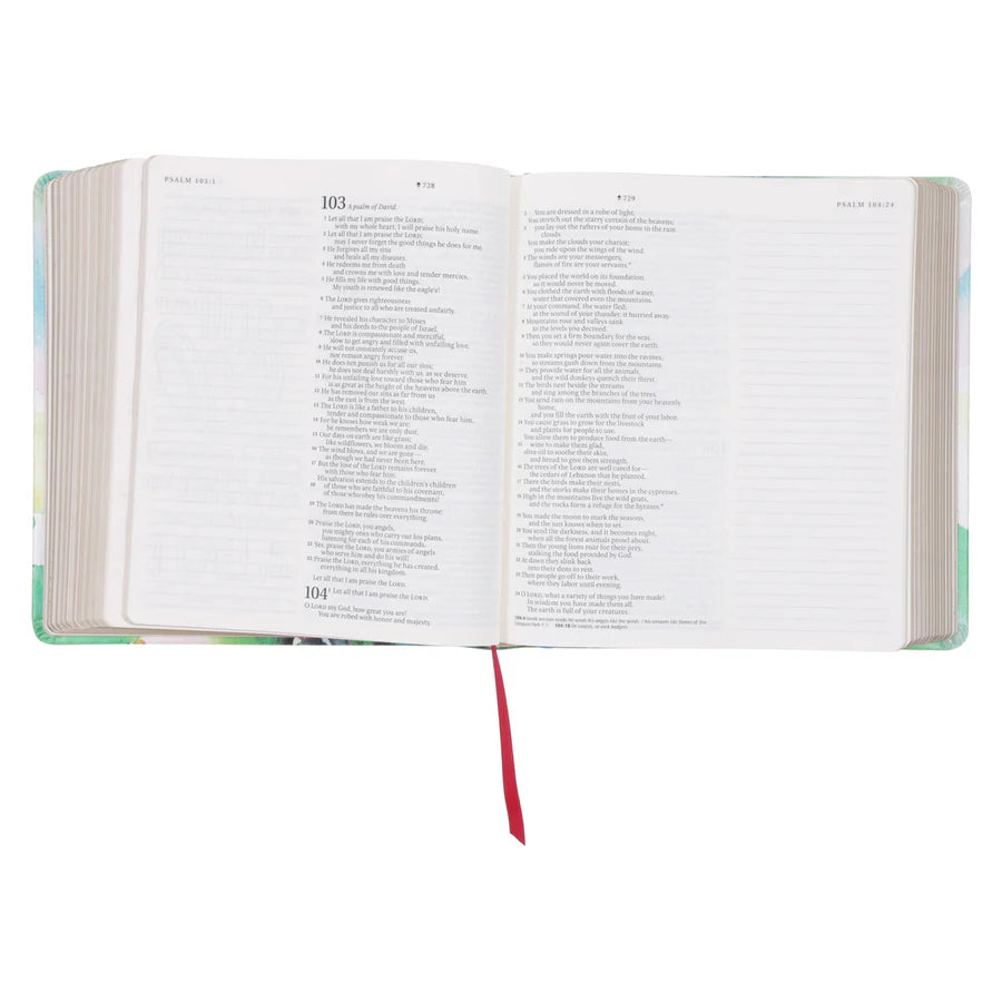 NLT Inspire Prayer Bible; Filament Journaling Bible; Neriah’s Light