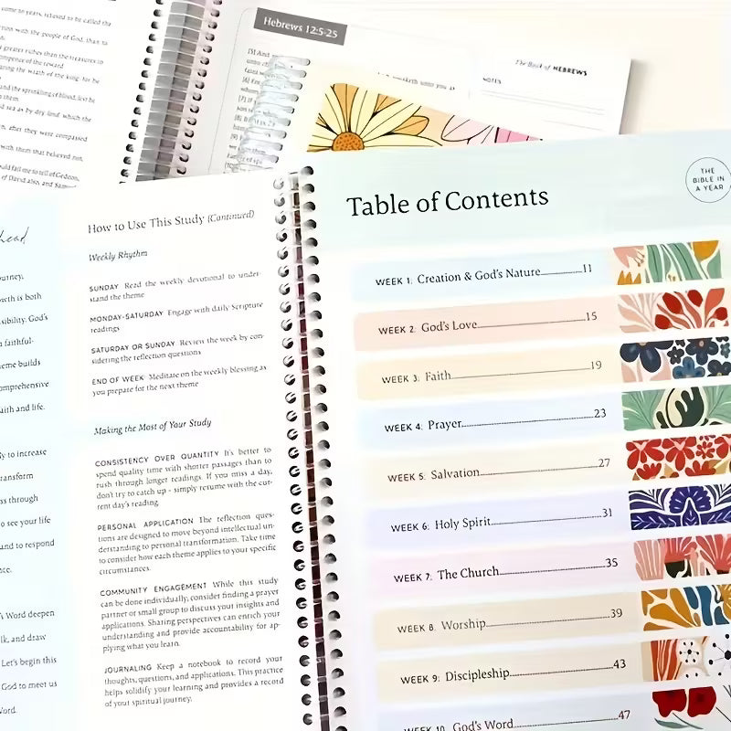The Bible in a year workbook