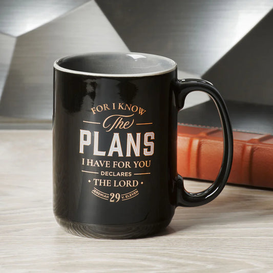 I Know the Plans Mug | Black Ceramic with Grey Interior