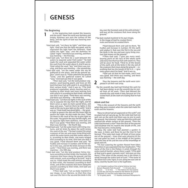 NIV Premium Gift Bible – Navy Red Letter Comfort; Neriah's Light