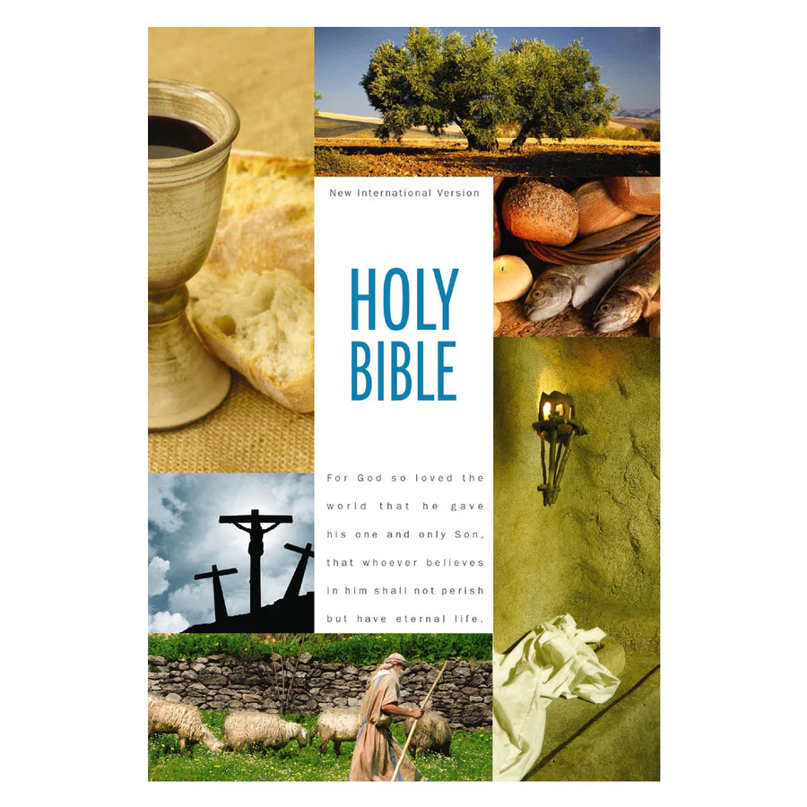 NIV Holy Bible Textbook Edition; Study Bible; Neriah’s Light
