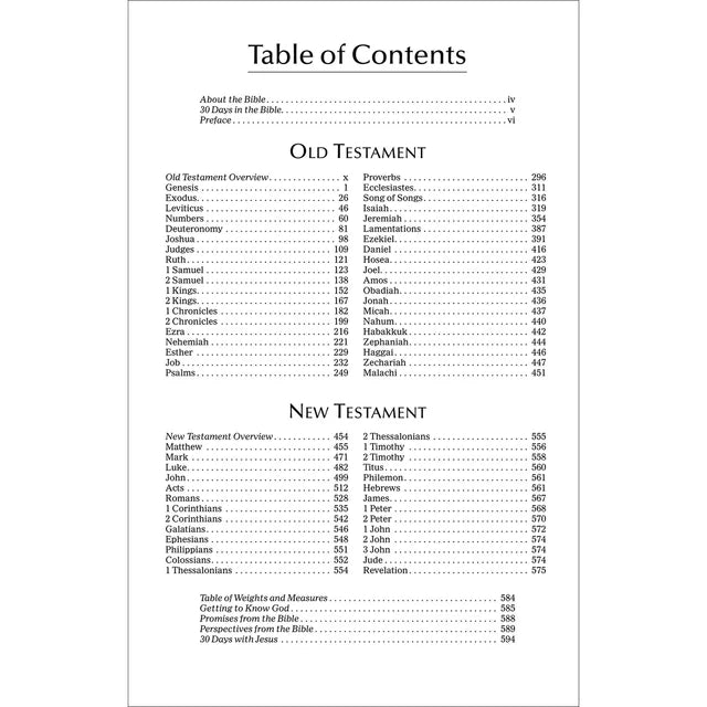 NIV Economy Bible – Paperback Outreach Edition ; Neriah's Light