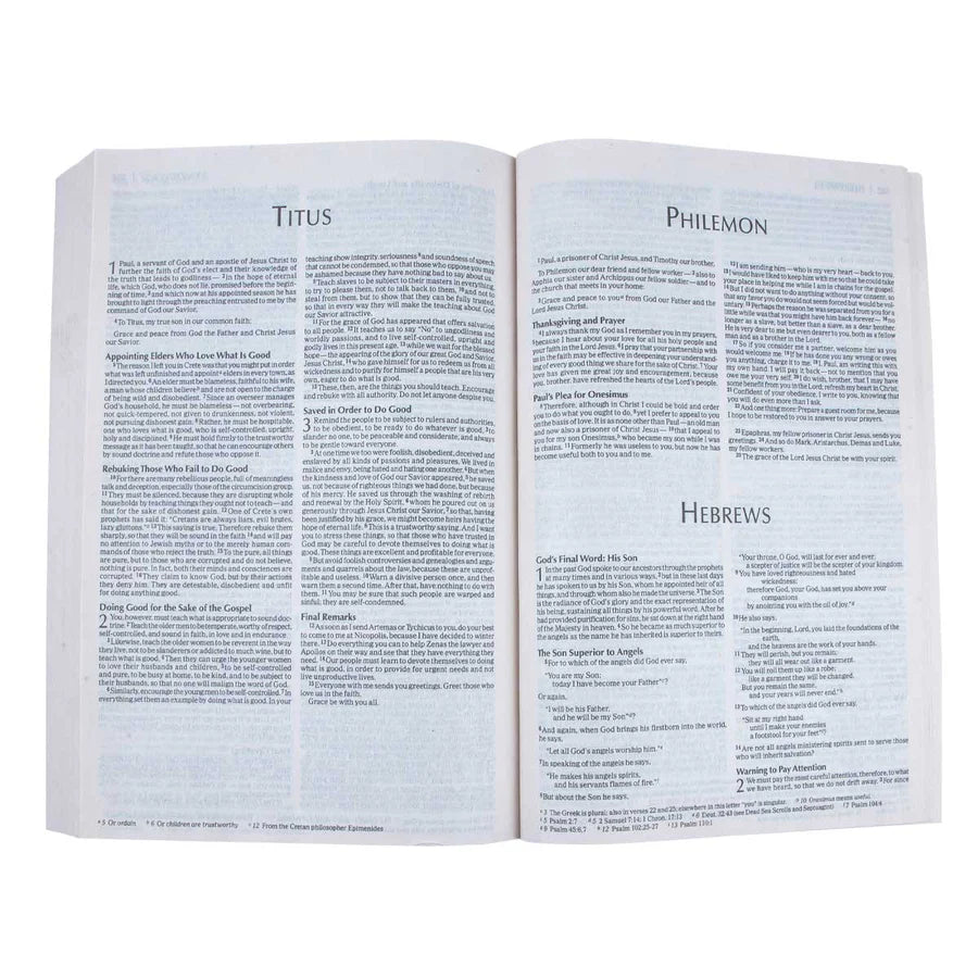NIV Economy Bible – Paperback Outreach Edition ; Neriah's Light