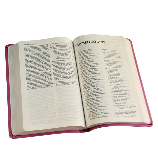 NIV Value Thinline Bible – Pink Comfort Print: Neriah's Light