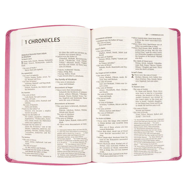 NIV Value Thinline Bible – Pink Comfort Print: Neriah's Light