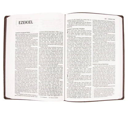 NIV Thinline Bible – Faux Leather Large Print Comfort; Neriah's Light