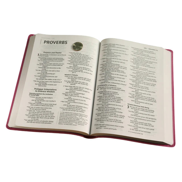 NIV Value Thinline Bible – Pink Large Print Comfort: Neriah's Light