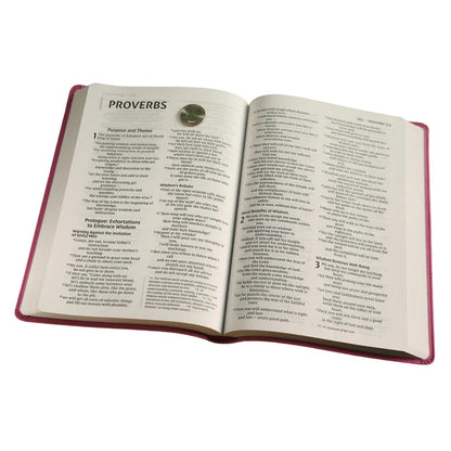 NIV Value Thinline Bible – Pink Large Print Comfort: Neriah's Light