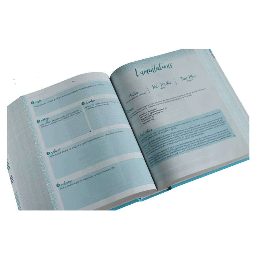 Neriah’s Light: NIV Verse Mapping Bible for Girls; Comfort Print