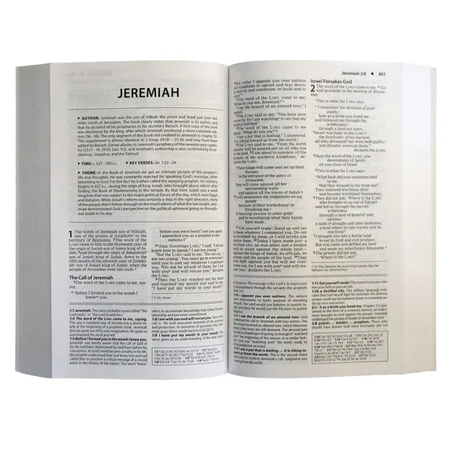 NIV Basic Study Bible – Economy Red Letter Paperback; Neriah's Light