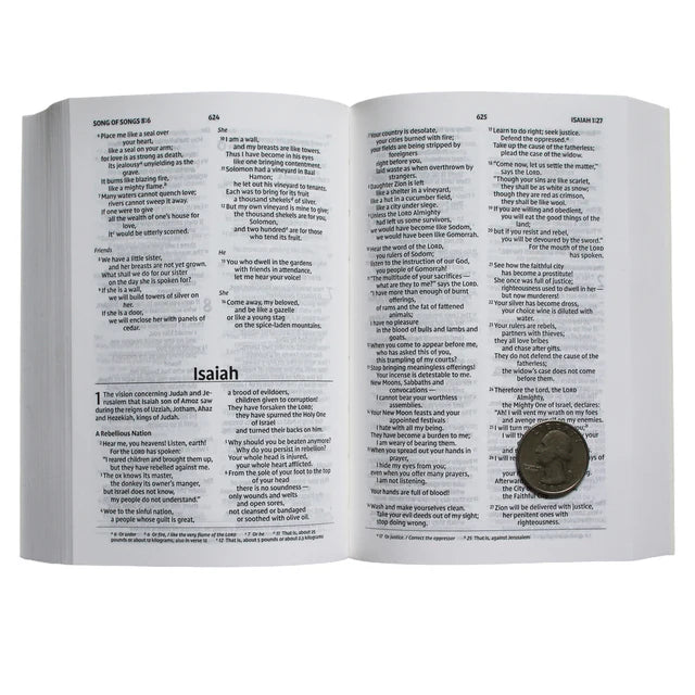 NIV Compact Bible – Paperback Comfort Print Edition; Neriah's Light