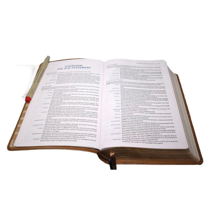NIV Tan Imitation Leather Personal Size Student Bible Comfort Print