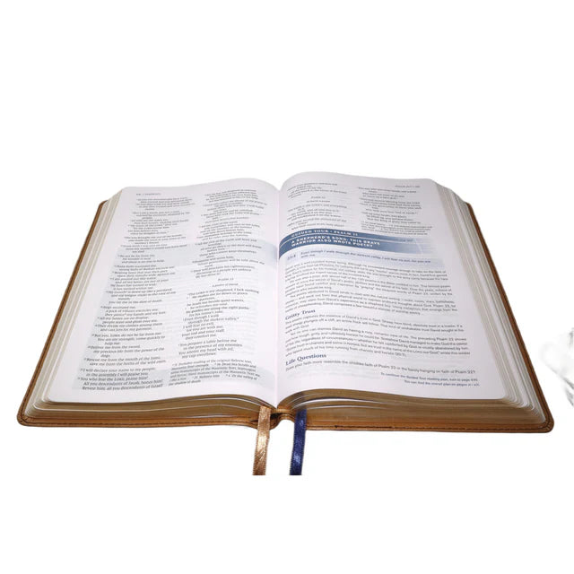 NIV Tan Imitation Leather Personal Size Student Bible Comfort Print