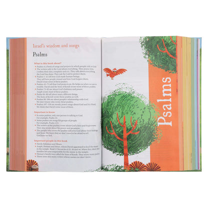 Neriah’s Light: NIrV Seek and Explore Holy Bible; Hardcover Edition