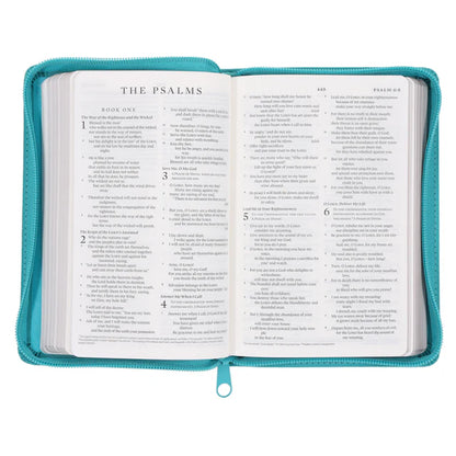 ESV Compact Bible – Teal Faux Leather; Zip Closure; Neriah's Light