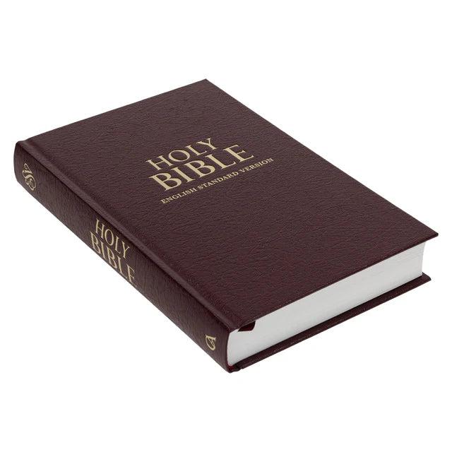 Neriah’s Light: ESV Standard Bible; Burgundy Hardcover Edition