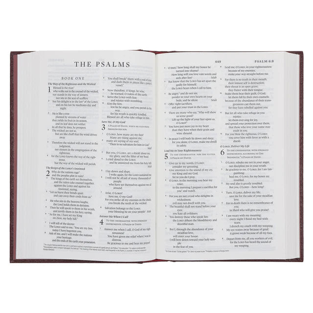 Neriah’s Light: ESV Standard Bible; Burgundy Hardcover Edition