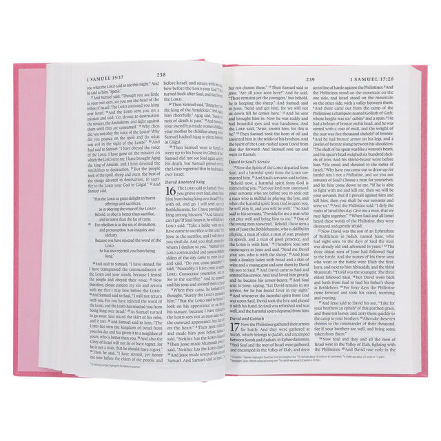 ESV Standard Bible – Pink Hardcover Edition ; Neriah's Light