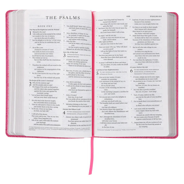 ESV Standard Bible – Pink Vines Faux Leather Edition ; Neriah's Light