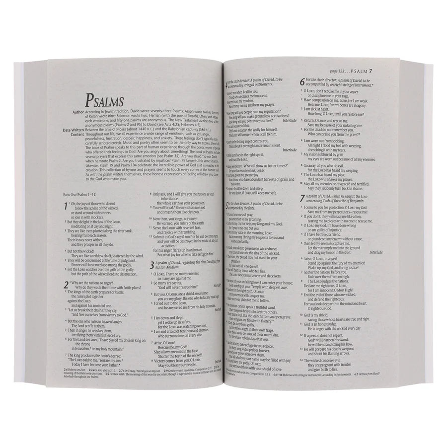 NLT Outreach Bible – Sunset Hills; Paperback; Evangelism; Neriah’s Light