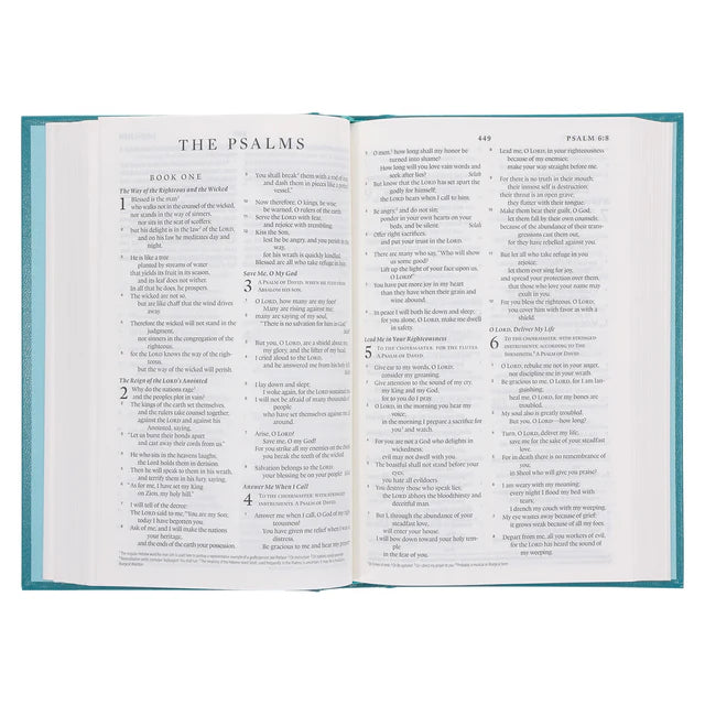 ESV Standard Bible – Teal Hardcover Edition ; Neriah's Light