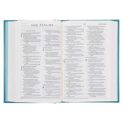 ESV Standard Bible – Teal Hardcover Edition ; Neriah's Light
