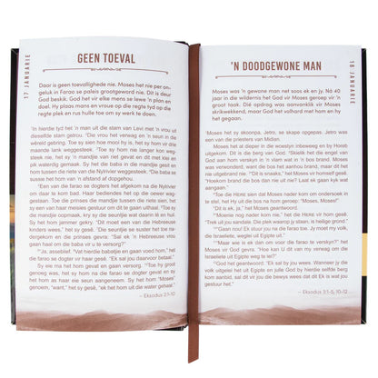 Neriah’s Light; Die Bybel in 366 Dae vir Manne van Geloof 