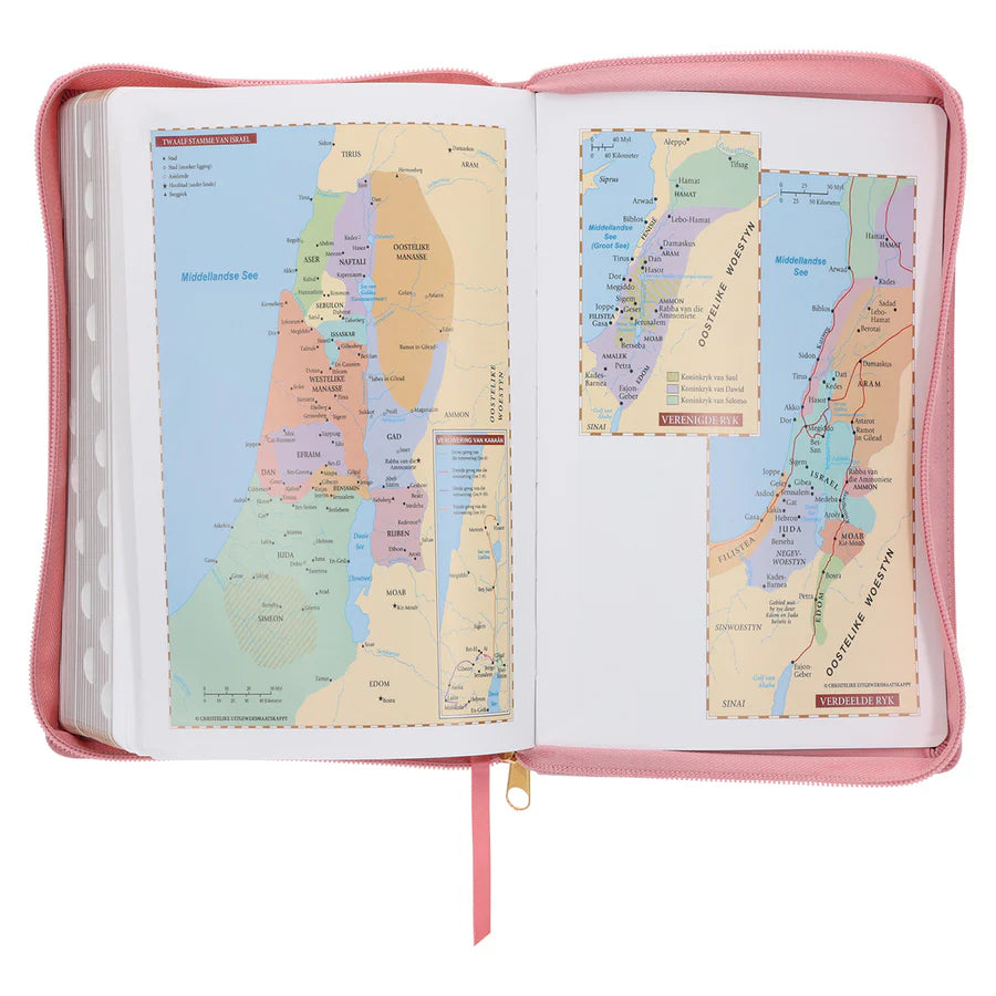 NLV Standaard Bybel | Pienk Blomme Kunsleer met Ritssluiter & Duimgrepe