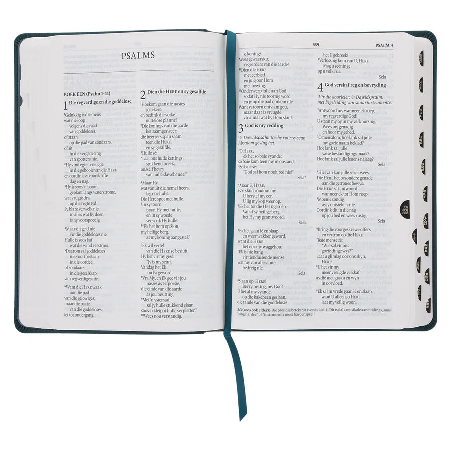 NLV Olyfgroen Met Goue Blomme Kunsleer Standaard Bybel Met Duimgrepe