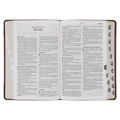 Afrikaanse Bruin Bybel | 1933/1953 Vertaling in Kunsleer