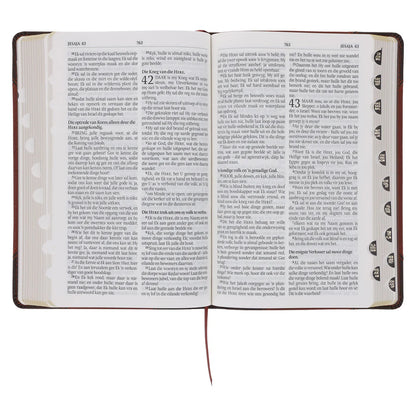 Afrikaanse Bruin Bybel | 1933/1953 Vertaling in Kunsleer