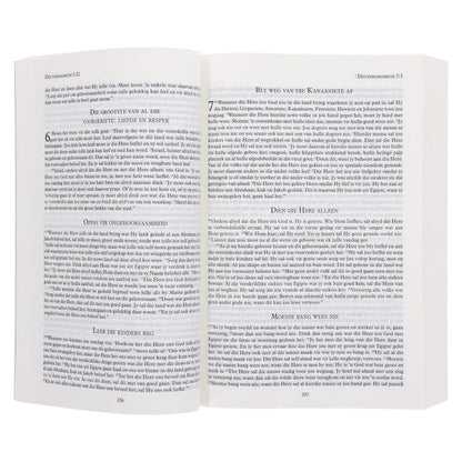 Die Boodskap Duif Sagteband Bybel – Afrikaans Edition; Neriah's Light