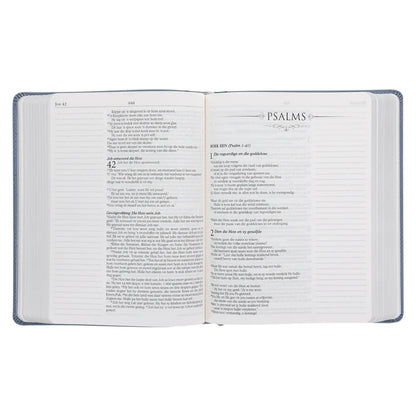 NLV Blougrys Kunsleer Joernaal-Bybel