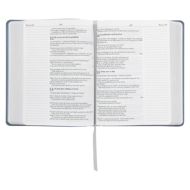 NLV Blougrys Kunsleer Joernaal-Bybel